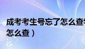 成考考生号忘了怎么查学校（成考考生号忘了怎么查）