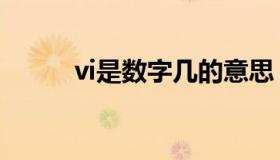 vi是数字几的意思（vi是数字几）