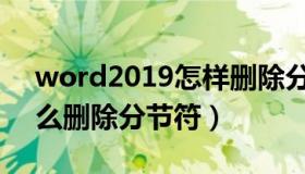 word2019怎样删除分节符（word2010怎么删除分节符）