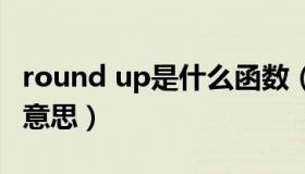 round up是什么函数（roundup函数是什么意思）