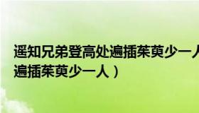 遥知兄弟登高处遍插茱萸少一人指的是谁（遥知兄弟登高处遍插茱萸少一人）