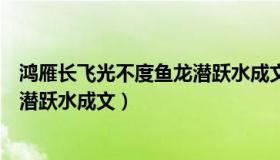 鸿雁长飞光不度鱼龙潜跃水成文用典（鸿雁长飞光不度鱼龙潜跃水成文）