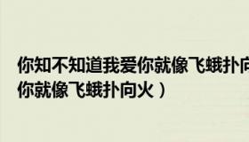 你知不知道我爱你就像飞蛾扑向火是什么（你知不知道我爱你就像飞蛾扑向火）