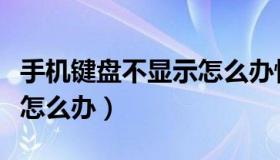 手机键盘不显示怎么办恢复（手机键盘不显示怎么办）