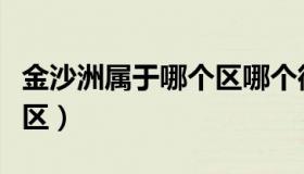 金沙洲属于哪个区哪个街道（金沙洲属于哪个区）