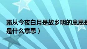 露从今夜白月是故乡明的意思是啥（露从今夜白月是故乡明是什么意思）