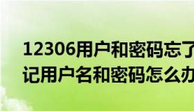 12306用户和密码忘了怎么找回（12306忘记用户名和密码怎么办）