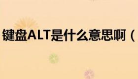 键盘ALT是什么意思啊（键盘alt是什么意思）