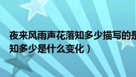 夜来风雨声花落知多少描写的是什么景色（夜来风雨声花落知多少是什么变化）