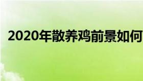 2020年散养鸡前景如何（散养鸡舍设计图）