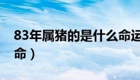 83年属猪的是什么命运（83年属猪的是什么命）