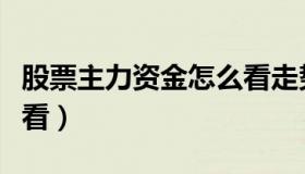 股票主力资金怎么看走势（股票主力资金怎么看）