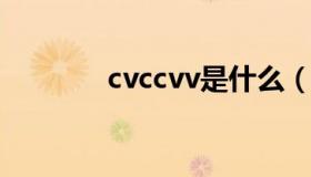 cvccvv是什么（cvv是什么）