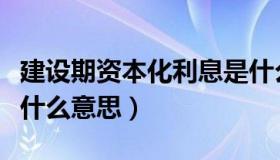 建设期资本化利息是什么意思（资本化利息是什么意思）