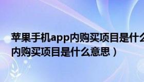 苹果手机app内购买项目是什么意思要钱吗（苹果手机app内购买项目是什么意思）