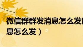 微信群群发消息怎么发所有人（微信群群发消息怎么发）