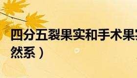 四分五裂果实和手术果实（四分五裂果实是自然系）