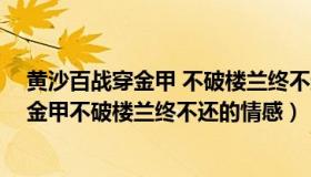 黄沙百战穿金甲 不破楼兰终不还 的表达情感（黄沙百战穿金甲不破楼兰终不还的情感）