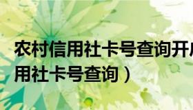 农村信用社卡号查询开户行支行名称（农村信用社卡号查询）