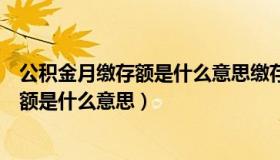 公积金月缴存额是什么意思缴存后共多少钱（公积金月缴存额是什么意思）