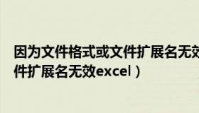 因为文件格式或文件扩展名无效是什么（因为文件格式或文件扩展名无效excel）