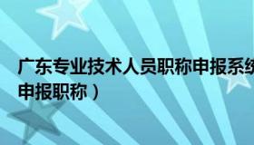 广东专业技术人员职称申报系统（广东省专业技术人员网上申报职称）