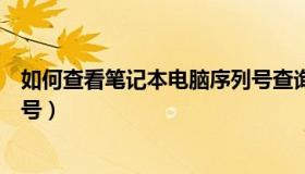 如何查看笔记本电脑序列号查询（如何查询笔记本电脑序列号）