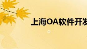 上海OA软件开发（上海oa）