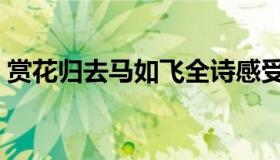 赏花归去马如飞全诗感受（赏花归去马如飞）