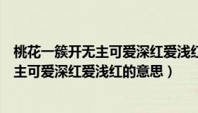 桃花一簇开无主可爱深红爱浅红的意思简短（桃花一簇开无主可爱深红爱浅红的意思）