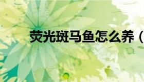 荧光斑马鱼怎么养（斑马鱼怎么养）