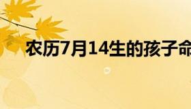 农历7月14生的孩子命运（农历7月14）