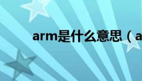 arm是什么意思（am是什么意思）