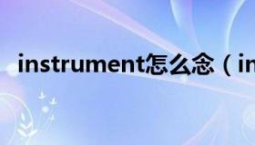 instrument怎么念（instrument怎么读）