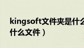 kingsoft文件夹是什么意思（kinggsoft是什么文件）