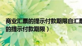 商业汇票的提示付款期限自汇票到期日起多少日（商业汇票的提示付款期限）