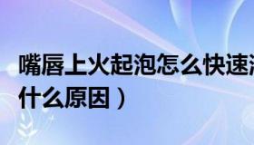 嘴唇上火起泡怎么快速消除（嘴唇上火起泡是什么原因）