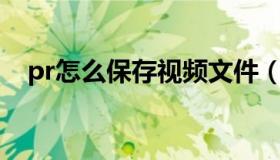 pr怎么保存视频文件（PR怎么保存视频）