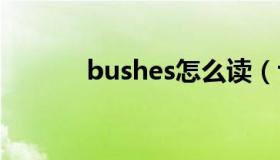 bushes怎么读（field怎么读）