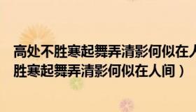 高处不胜寒起舞弄清影何似在人间表达了什么情感（高处不胜寒起舞弄清影何似在人间）