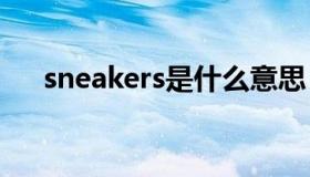 sneakers是什么意思（sn是什么意思）