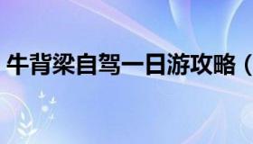 牛背梁自驾一日游攻略（牛背梁自驾游攻略）