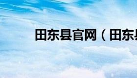 田东县官网（田东县人民政府网）