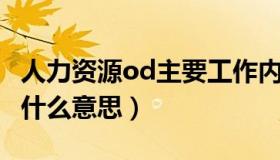 人力资源od主要工作内容（人力资源里OD是什么意思）