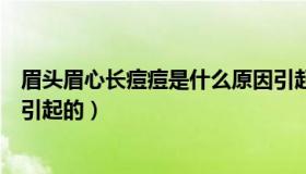 眉头眉心长痘痘是什么原因引起的（眉心长痘痘是什么原因引起的）