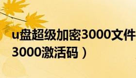 u盘超级加密3000文件不见了（u盘超级加密3000激活码）