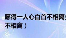 愿得一人心白首不相离全诗（愿得一人心白首不相离）