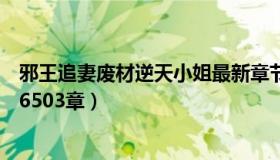 邪王追妻废材逆天小姐最新章节（邪王追妻废材逆天全文第6503章）