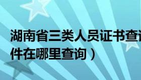 湖南省三类人员证书查询（湖南省三类人员证件在哪里查询）