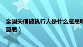 全国失信被执行人是什么意思呀（全国失信被执行人是什么意思）